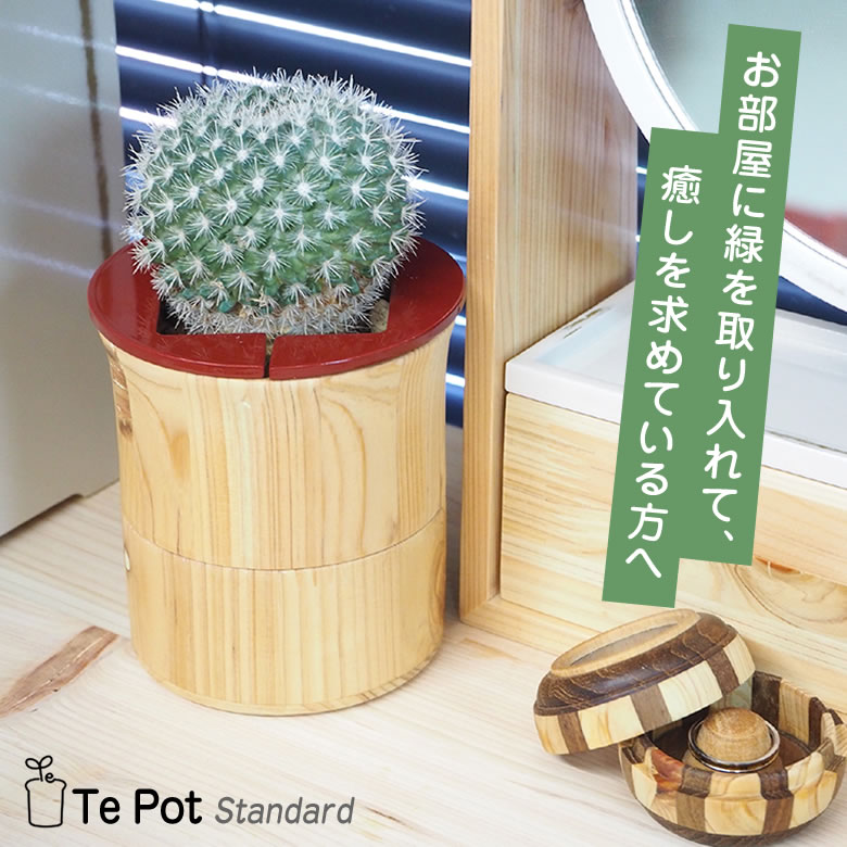 楽天想いを繋ぐ百貨店 【TSUNAGU】Te Pot Standard テポット スタンダード 室内 プランター おしゃれ 手のひらサイズ 木製 プランター鉢 根来塗 紀州漆器 世界遺産 熊野古道 檜 ひのき ヒノキ かわいい 癒し 緑 リラックス 小型 デスク オフィスワーク かわいい おしゃれ インテリア 送料無料