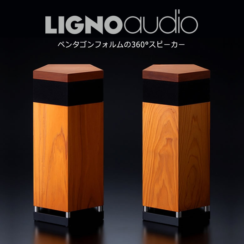 リグノオーディオ LIGNOaudio SP-50SS パッシブスピーカー 最高級木材 ヒノキ 檜 針葉樹 LIGNOTEX無垢材 リグノテックス 超硬質リフレクタ 高級感 コンパクト おしゃれ お洒落 インテリア ペンタゴン 五角形 360° 圧縮木材 LIGNOTEX 日本製 国産 送料無料