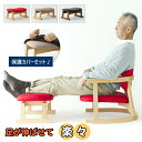 かに座PLUS スツール 【保護カバーセット】 オットマン 洗える 高齢者 父 母 プレゼント 足置き 1人掛け リラックス ファブリック ビニールレザー おし...