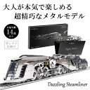 Time for Machine 超精巧なステンレス製の組み立てキット Dazzling Steamliner 電車 プラモデル 模型 フィギュア メタルパーツ...