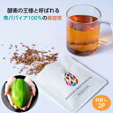 青パパイア 果実茶 MIYAZAKI GREEN PAPAYA TEA 2P お試し THE PRINCE OF PAPAYA 酵素 パパイア王子 お茶 ティーバッグ 美容茶 美容 べっこう飴 食物繊維 ポリフェノール SOD酵素ノンカフェイン…