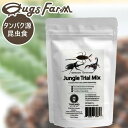 昆虫食 食用 Jungle Trial Mix3 11g(ジャングルトライアルミックス3(カブトムシ)11g) 閲覧注意 良質な脂質が含まれた高栄養食 高蛋白で低糖質 豊富なアミノ酸 ミネラル BUGS FARM THAILAND UNIQUE 昆虫食 罰ゲーム おやつ スナック菓子 栄養満点 完全食