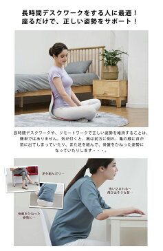 【カーブルチェアーワイド 正しい姿勢をサポート】正しい姿勢 習慣 姿勢改善 腰痛軽減 腰痛対策 猫背 長時間 デスクワーク 姿勢のゆがみ 姿勢サポート スタイリッシュ おしゃれ 椅子 イス クッション カーブルチェア 送料無料