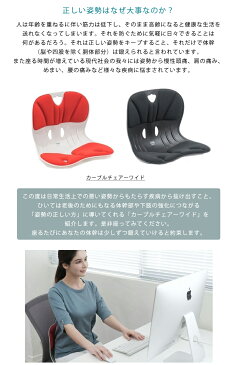 【カーブルチェアーワイド 正しい姿勢をサポート】正しい姿勢 習慣 姿勢改善 腰痛軽減 腰痛対策 猫背 長時間 デスクワーク 姿勢のゆがみ 姿勢サポート スタイリッシュ おしゃれ 椅子 イス クッション カーブルチェア 送料無料