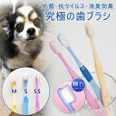 楽天想いを繋ぐ百貨店 【TSUNAGU】【天使の羽ブラシ 犬用】 歯ブラシ 歯ぶらし 犬 ペット ヘルシーアニマルズ プラチナナノ 抗菌 抗ウイルス 消臭 安全 小型犬 中型犬 大型犬 3サイズ 3カラー HEALTHY ANIMALS