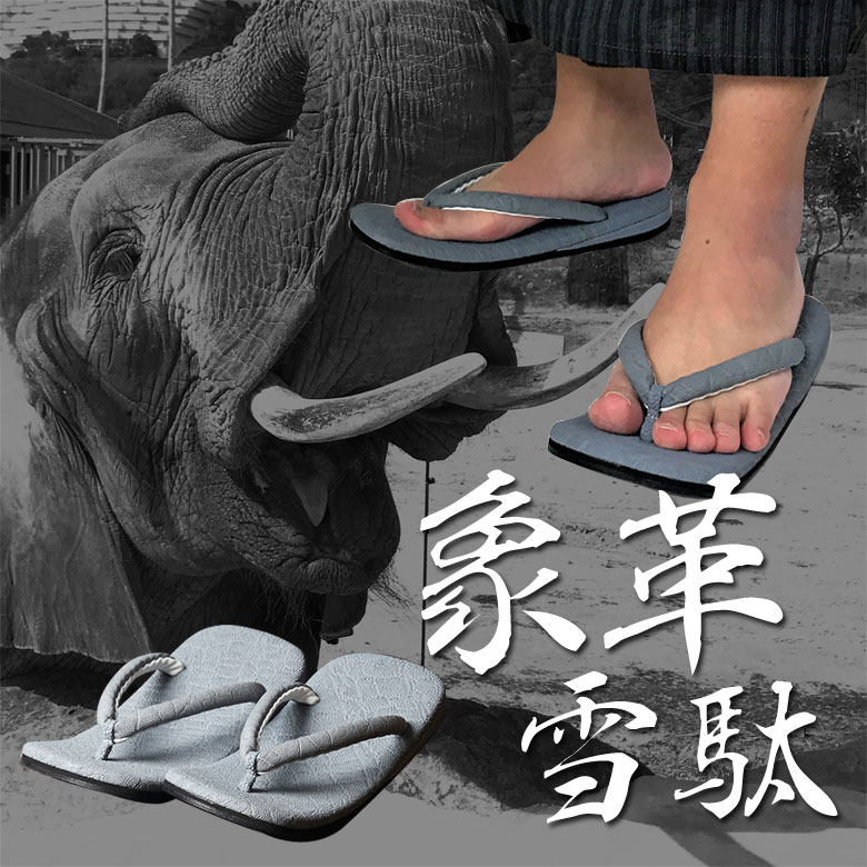 ο̥ ŷƲ եꥫ Sun-esu 󥨥 ܳ ݳ ͼ Ϸ Ź ο͵ ʱ߷ פ ֲ   ʪ  ǥ˥   ɤ    å쥶 elephant    ŷ 