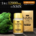 エヌエムエヌ レナージュ ゴールド 120粒 NMN renage GOLD 12000mg GHバイオ ジーエイチバイオ 国内工場 国産 日本 日本製