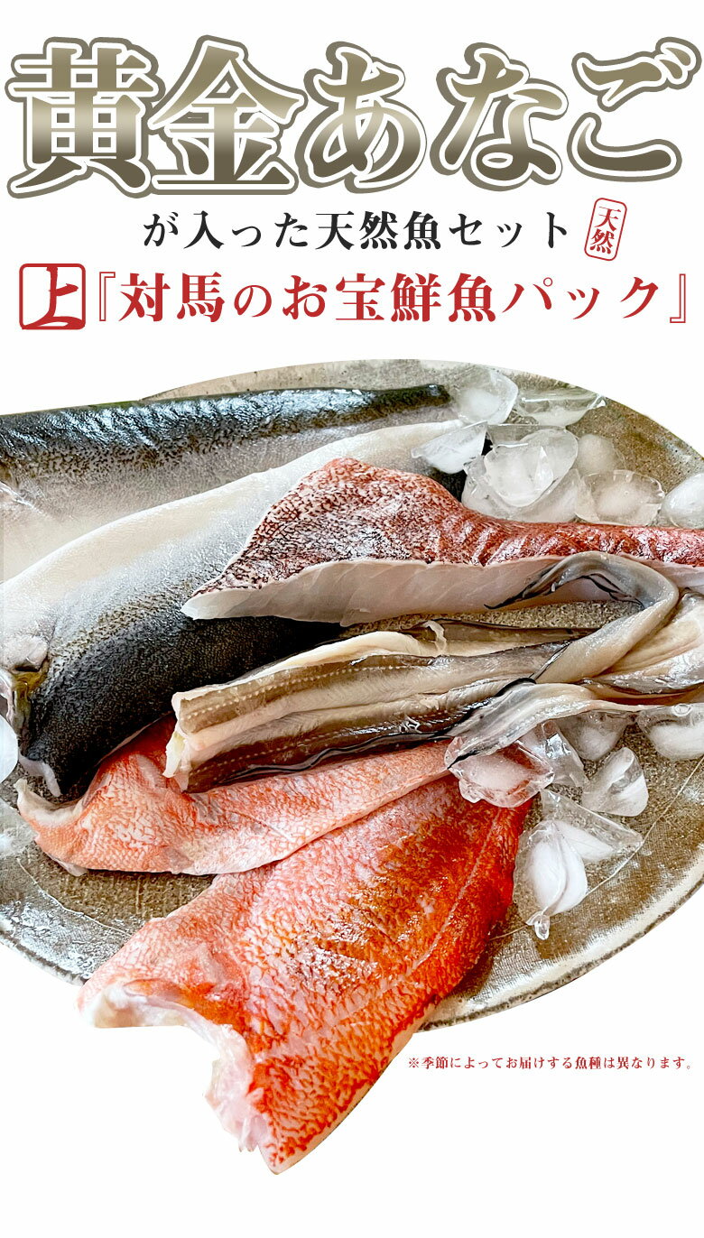 【黄金あなご入り】 対馬のお宝鮮魚パック【上】...の紹介画像2