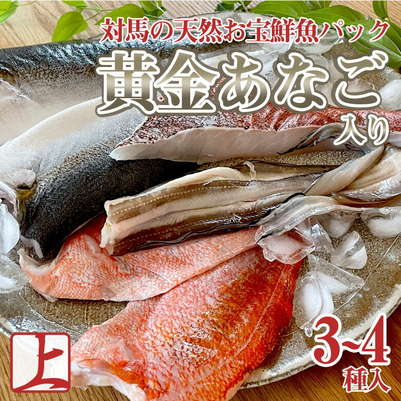 【黄金あなご入り】 対馬のお宝鮮魚パック【上】 ...の商品画像