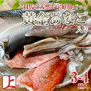 【黄金あなご入り】 対馬のお宝鮮魚パック【上】 下処...