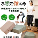 ジャンピングポップン Jumping pop'n トランポリン クッション 日本製 家庭用 エクササイズ ファブリック 家庭用トランポリン 室内 運動 健康 ダイエット 組み立て不要 シェイプアップ トレーニング 高反発