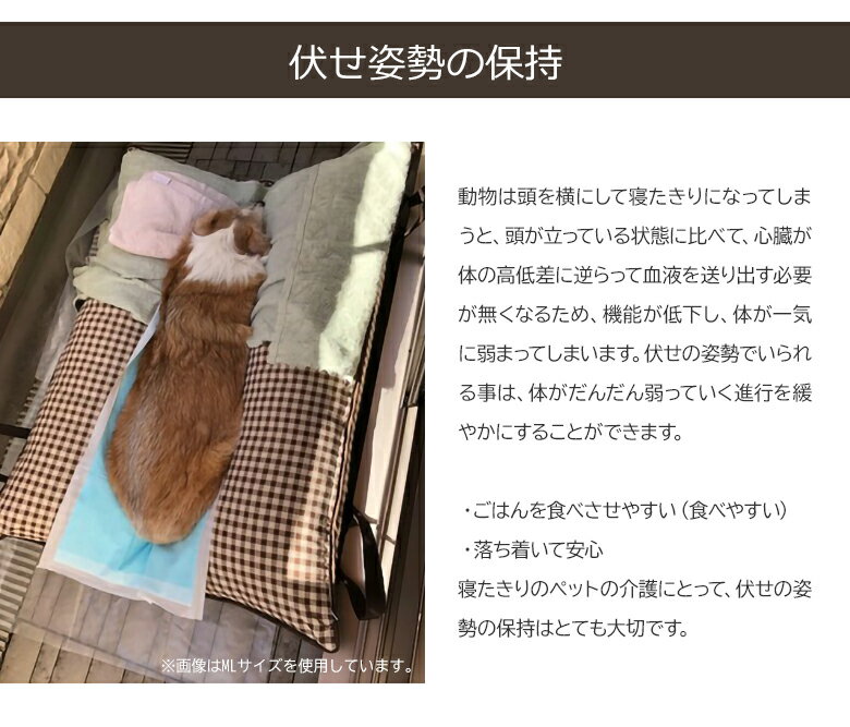 寝返り楽々 公式通販 獣医師が考えた介護用クッションraku Raku らくらく Ll 大型犬向き 約100 140cm 床ずれ防止 寝返りをさせやすい V字 伏せ 寝返り簡単 楽 優しい 擦れない 犬用 床ずれ マット老犬 予防 寝返り 老猫 Rakuraku マットレス 健康 送料無料 ワンちゃん 犬