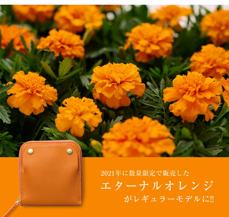 SMART MOVE！ Eternal Orange スマートムーブ エターナルオレンジ スマートキー 2個収納 財布 キーケース スマートキーケース 2個入る 2つ レディース SMARTMOVE シュリンク 鍵 小銭入れ コンパクト カードケース カード収納 RAKUKEI