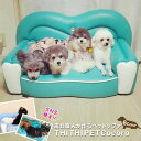 セミオーダー ペットソファ THITHI PET Cocoro ココロ ティファニーブルー ペットベッド ソファ 犬 猫 ロータイプ 小型 シニア 子猫 子犬 ...