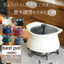 ベストポット ミニ bestpot mini 土鍋 炊飯【14.8cm/直火用/1合まで/550ml