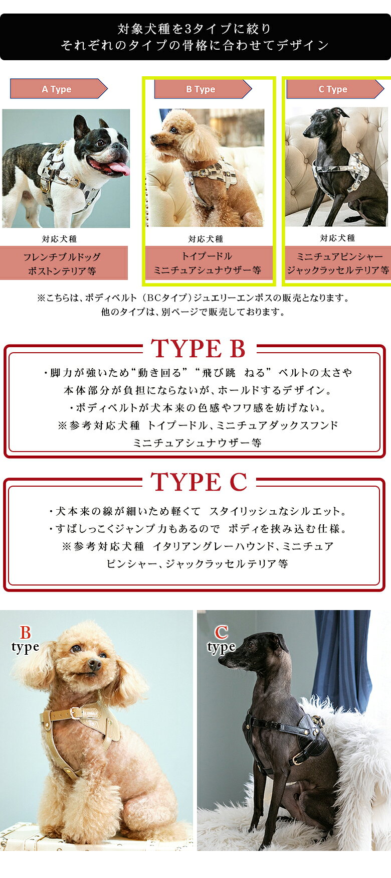 Now&Fountain ボディベルト Bタイプ Cタイプ ジュエリーエンボス ボディーベルト ...