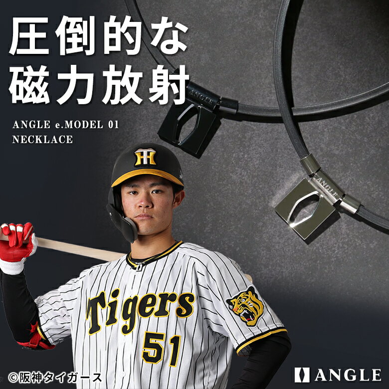 楽天想いを繋ぐ百貨店 【TSUNAGU】【虎特典付き！阪神タイガース 中野拓夢選手着用】ANGLE e.MODEL 01 NECKLACE 磁気 ネックレス アングル メンズ レディース プラチナ ブラック 黒 磁石 磁力 ネックレス 耐海水使用 かっこいい カッコイイ お洒落 おしゃれ