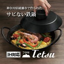 【IH対応】サビない鉄鍋 Tetsu Nabe set 蓋つき テツナベ セットあやせものづくり研究会 鉄鍋 日本製 神奈川県綾瀬市 鍋 フライパン 調..