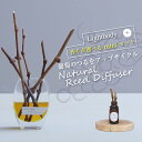 【無料ラッピング実施中!】AKIU Style ナチュラルリードディフューザー【ライトボディとミニのセット】 香り 秋保 天然 アロマ フレグランス 精油 エッ...