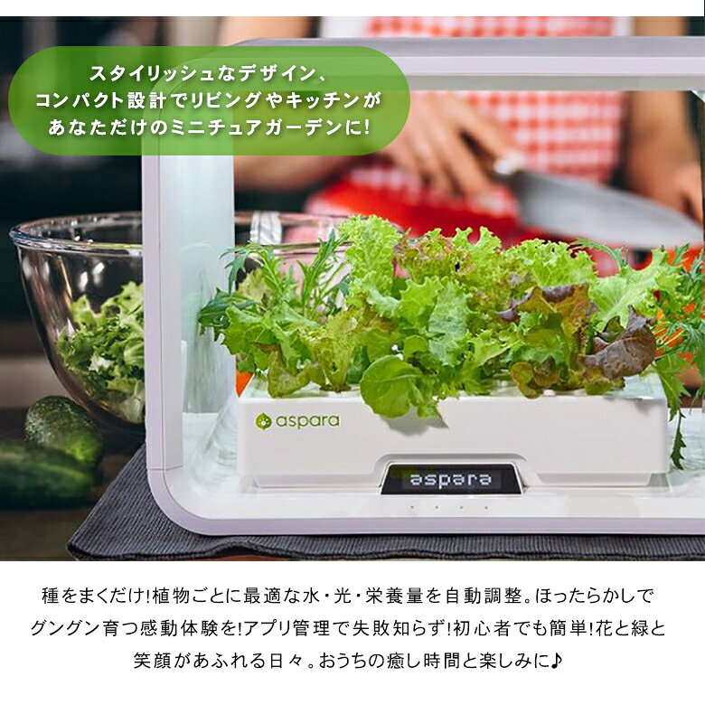 水やり不要！アプリ管理の 水耕栽培キットアスパラガーデン LITE スターターキット...