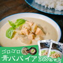 パパイア王子の 青パパイアマイルドグリーンカレー 2食分 パウチタイプグリーンカレー レトルト カレー レトルトカレー パパイヤ パパイア 具だくさん インスタントカレー 非常食 ココナッツミルク MIYAZAKI GREEN PAPAYA THE PRINCE OF PAPAYA 酵素 パパイア王子