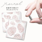 Revol ESSENTIALS 9ĤαǤ۹ 60γ2ޡ120γ Ŵʬ  ջ ӥߥB ӥߥD3   ¢Ŵ   Ϸ īĤ餤 Ĵ   ̵