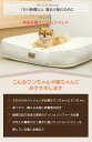 dfang ディパン 体圧分散 スクエアクッションベッド 80cm×60cm クッション ペット専用 犬猫兼用 抗菌 防水 加工 お手入れ簡単 フィットする おしっこ対策 オールシーズン 2