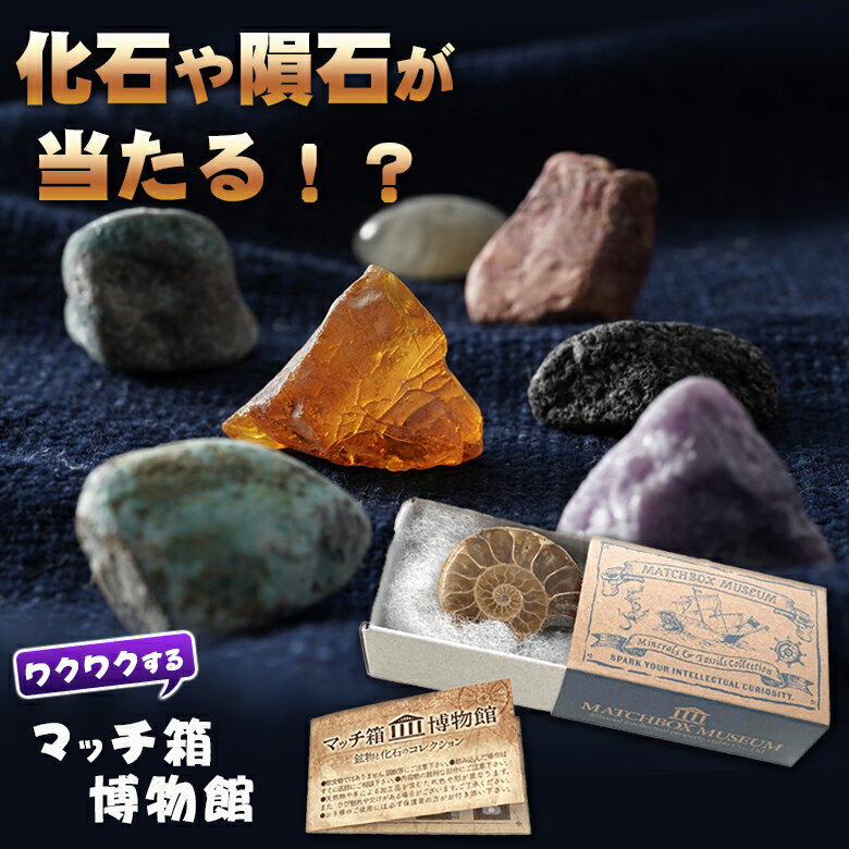 商品名 マッチ箱博物館 鉱物と化石のコレクション(1点） 商品説明 約130種類の鉱物・化石・隕石の中からランダムに一つ入った科学雑貨です。自由に触って遊べる自分だけの博物館をつくることができます。マッチ箱のまま飾ることができるので、コレクションも簡単です。またQRコードからマッチ箱博物館のウェブサイトでご自分の石をチェックしていただけます。子供にはわくわくを、大人には懐かしさを感じていただける商品です。●落下などの衝撃で破損する恐れがありますので、お取り扱いには十分ご注意ください●割れや欠けのある石も含んでいます●対象年齢：小学生以上 関連ワード 化石 鉱物 マッチ箱博物館 鉱物と化石のコレクション 科学雑貨 鉱物 化石 隕石 虫 琥珀 マッチ箱 開封 開封の儀 ミステリーボックス 石 アンモナイト 自由研究 ガチャ がちゃ 宝石 楽しい コレクション プレゼント ギフト 子供 大人 砂金 おすすめ オススメ アメジスト AMETHYST ターコイズ TURQUOISE トルコ石 ラピスラズリ 瑠璃 ルチルクォーツ RUTILATED QUARTZ サファイア オパール ルビー サメ 水晶 QUARTZ タイガーアイ TIGER EYE 砂金 GOLD DUST MATCHBOX MUSEUM ギフト 母の日 父の日 新生活 引っ越し祝い 新築祝い 結婚祝い 引き出物 バレンタインデー ホワイトデー クリスマス Xmas お正月 贈り物 敬老の日 YouTube YouTuber　ユーチューバー 誕生日プレゼント 女性 男性 お返し 想いを繋ぐ百貨店【TSUNAGU】