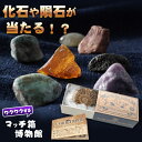 【送料330円でまとめて発送！】化石や鉱物が入っているマッチ箱博物館　鉱物と化石のコレクション 鉱物 ...