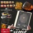 恐竜時代の昆虫！ 虫入り琥珀のコレクション 1カートン(12個セット) マッチ箱博物館 科学雑貨 化石 昆虫 虫 琥珀 マ…