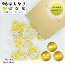 商品名 京都はんなりばなな フローズンバナナ(皮あり/皮なし) 内容量 約80g×6袋 注意事項 ※収穫時期・収穫量の関係にて、お届けにお時間が掛かる場合もございますのでご了承下さい。 ※自然のバナナになりますので、商品画像と実物に違いがある場合がございますが、予めご了承下さい。 商品説明 上品な甘みが人気『京都 はんなりばなな』を食べやすいサイズにカットして冷凍しております。皮あり/皮なしからお選びいただけます。京都府亀岡市の地で育てた『京都 はんなりばなな』は、国内流通量が全体のわずか0.2%と、希少価値がとても高く、環境にも人にも優しい、皮まで食べられる、農薬不使用の国産バナナです。いつものバナナよりちょっぴり豪華なデザート。頑張った自分へのご褒美にピッタリです。大切な方への贈り物にも喜ばれています。いかがでしょうか？ 関連キーワード 冷凍バナナ 京都はんなりバナナ Hannari Banana KYOTO 希少価値 美味しい 人気 京都はんなりばなな プレミアムBOX 3本入り 高級バナナ 国産バナナ 希少性 高級フルーツ 農薬不使用 バナナ 果物 フルーツ 食品 SDGs 環境に優しい 京都府亀岡市 ギフト 贈り物 プレゼント 母の日 父の日 新生活 引っ越し祝い 新築祝い 結婚祝い 引き出物 バレンタインデー ホワイトデー クリスマス Xmas お正月 贈り物 敬老の日 誕生日プレゼント 女性 男性 お返し 想いを繋ぐ百貨店【TSUNAGU】