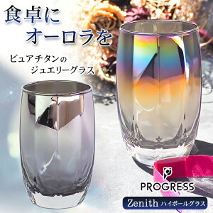 PROGRESS Zenith ハイボールグラス 335ml Silver Infinit プレゼント ギフト チタン 硝子 ガラス グラス カップ お酒 日本製 送料無料 焼酎 グラス お酒 プログレス レックス シルバー シャイン インフィニット 名入れ 母の日 父の日 誕生日 ウイスキー 焼酎 お酒好き