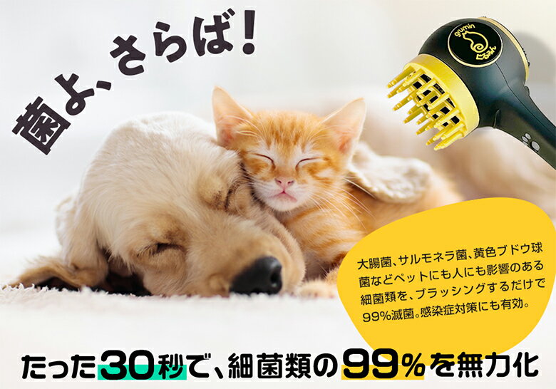 ���롼�ߥ󥰤���ߤ� grumin �ڥå����ѥ֥�å��󥰥ɥ饤�䡼 ���롼�ߥ� �֥�å��� 2IN1 ¿��ǽ �ڥåȥ֥饷 �ڥåȥɥ饤�䡼 �� ǭ �ڥåȤΤ������� �Υ� ���� �ۥ��� Լ ���� �Ų��߷� ���ֳ����ҡ����� ���� �Ҽ���� ���� ����� ����ѥ��� �ʥ���