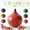 YUIYU 球根 蓋付き 小鉢 小皿 食器 和食 木製 薬味 調味料 日本製 向付 懐石料理 和食器 漆器 会席料理 お膳 器 皿 鉢 盛り皿 料理 高級感 向...