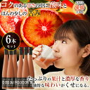 みかん ブラッドオレンジジュース 100% 370ml 6本セット オレンジジュース モロ 美味しい訳あり 愛媛ミカン 愛媛吉田町のYAMAUCHI FARMさん みかん王国 山内農園 限定数量生産 恵まれた土壌・気候で育つ美味しいみかん 贅沢な太陽の恵み 大切な人におくりたくなる贈り物