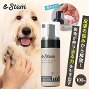 ワンちゃん専用 イヌ幹細胞培養上清液配合の保湿液「&Stem(アンドステム)」犬専用スキンケア泡ローション 専門分野の獣医師、幹細胞の培養士 プロが共同開発したワンちゃんのお悩みナンバーワンの肌のトラブルに寄り添う商品。ワンちゃんを皮膚の悩みから解放したい