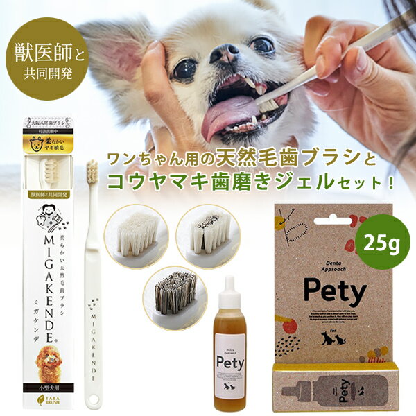 【ミガケンデ MIGAKENDE 天然毛 歯ブラシ】と【ペット専用 歯磨きジェル デンタアプローチ ペティ 25g】のセット販売です。犬用 愛犬 ワンちゃん 小...
