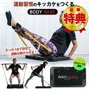 【特典付】BODYBASEで運動習慣のキッカケをつくろう!たった1台で自宅で運動が続けられる!マルチフィットネスツール 自宅での全身筋トレ、部分的な筋肉アプロー...