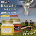 Hani2 百花蜜 四季 250g 蜂蜜 はちみつ ハチミツ ハニー 純国産 美味しい おいしい ハニハニ ヘアリーベッチ ノーブレンド 濃厚 あっさり 日本製...