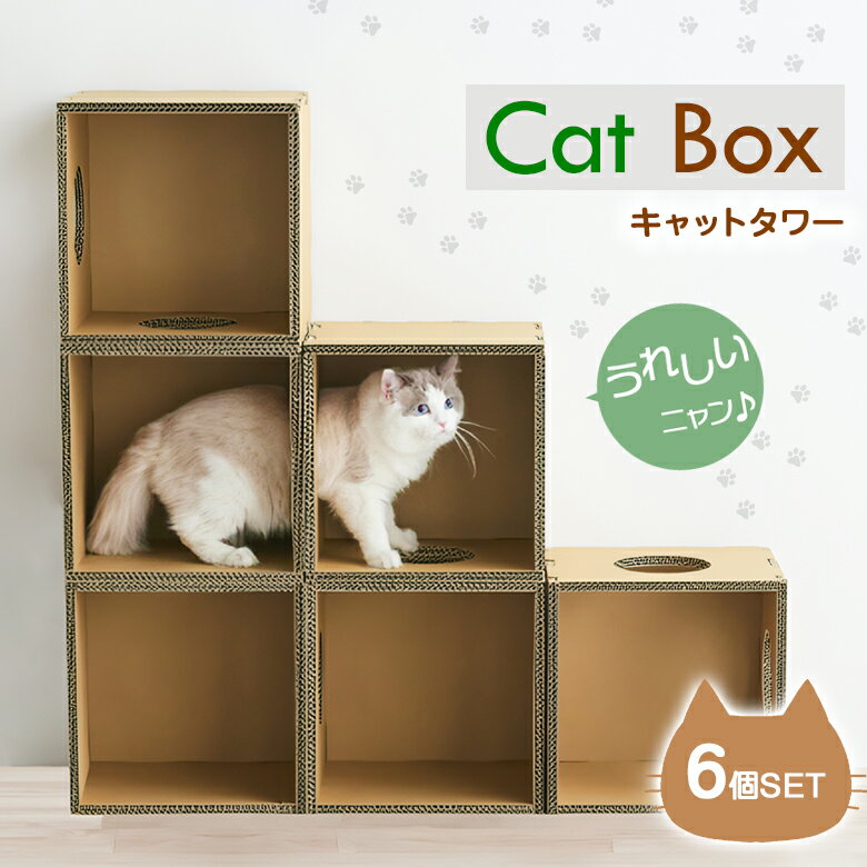 キャットボックス キャットタワー Cat Box【6個セット】猫 ネコ ねこ キャット cat キャットウォーク ダンボール 猫タワー 猫ハウス おしゃれ かわいい 据え置き インテリア 組み立て つめとぎ ハウス 多頭買い 高さ 高い 安全 室内 スリム 省スペース コンパクト 日本製