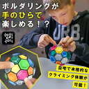 ボルダリング知略ゲーム Boulderball ボルダーボール 脳トレ パズル 握力 トレーニング 創造力 集中力 保持力 思考力 バランス感覚 知育 発育 難...