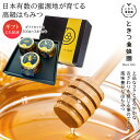 ときつ養蜂園のはちみつ【ギフトセット大300g×3本セット】ときつ養蜂園Bee's life ビーズライフ はちみつ 国産 非加熱 非加熱はちみつ 国産天然はち...