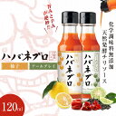 ハバネブロ 柚子 アールグレイ 120ml 京都産ハバネロ 発酵クラフトチリソース 化学調味料無添加 ハバネロソース リンゴ酢 塩 発酵 鮮度 濃厚 ハバネロ 調味料 刺激的な辛さ 旨み HABANEBROS KYOTO 料理 調理 隠し味 主婦 ママ 母 キッチン