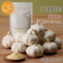 【国産】TEN にんにくパウダー50g ガーリックパウダー にんにく100% 粉状 粉タイプ スパイス 嘉定種 調味料 食品 九州産 簡単 日本マタニティフード...