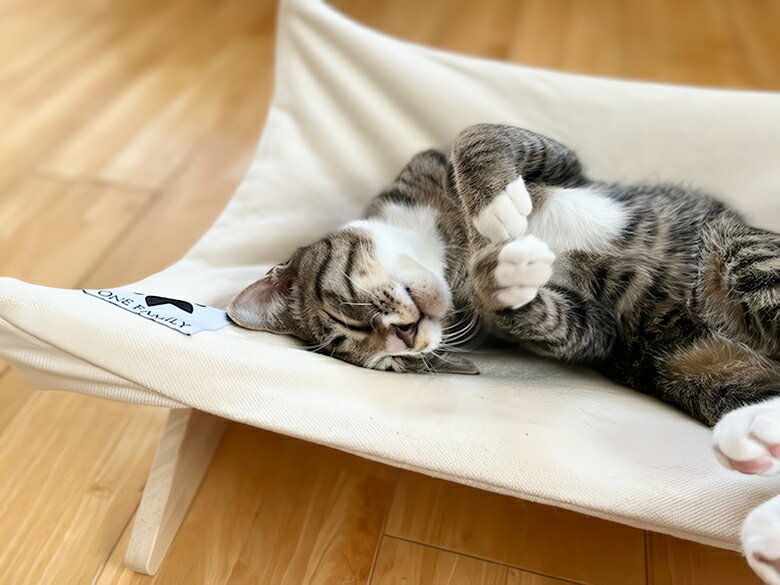 �ڱ��������ONE FAMiLY �ϥ��å� �̾勵���� ������ ������ ǭ �ͥ� �ͤ� �ڥåȥ٥åɥڥå��� ���� ���å���� ��� ���ä��� �ܳ�Ū ���å���� ���ä��� ��� ���� ������� ���襤�� �� �� �� �� �����ƥʥ֥� ���� ����������̵����