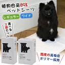 Hoippo ホイッポ ペットシーツ ワイド レギュラー【選べる2袋セット】植物由来ペットシーツ ペットシート 犬 dog ドッグ わんこ ワンコ 愛犬家 環境...