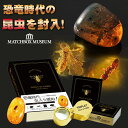 恐竜時代の昆虫! 虫入り琥珀のコレクション マッチ箱博物館 科学雑貨 化石 昆虫 虫 琥珀 マッチ箱 観察キット 開封 開封の儀 ミステリーボックス ルーペ 石...