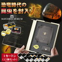 恐竜時代の昆虫! 虫入り琥珀のコレクション 1カートン(12個セット) マッチ箱博物館 科学雑貨 化石 昆虫 虫 琥珀 マッチ箱 観察キット 開封 開封の儀 ミ...