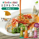 たるみず畑 ドレッシング(4本入り)ドレ・ソース いんげん 赤ピーマン 赤しそ たまねぎ インゲン 鹿児島 産地直送 贈り物 ご当地 御中元 お中元 グルメ お...