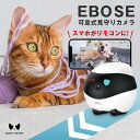 【SNSで話題】 EBO SE 見守りロボット what the pet 自動充電 アプリ連携 自走型 Wi-Fi 可動式 ペットカメラ 話せる バッテリー長持ち 防犯 双方向音声通話 スマホ 小型ロボット 子ども 監視カメラ イーボエスイー